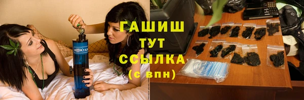 гидра Кодинск
