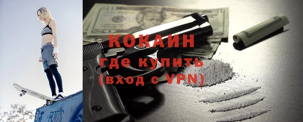 гидра Кодинск