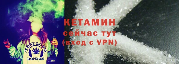 гидра Кодинск