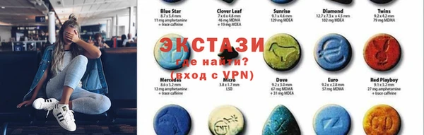 гидра Кодинск