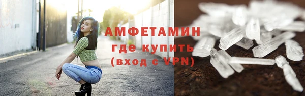 прущие грибы Козловка