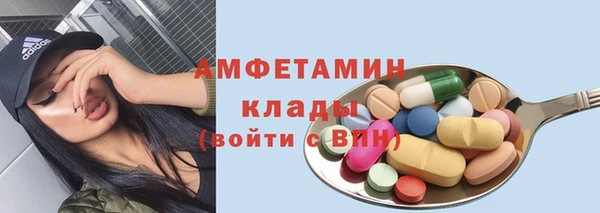 гидра Кодинск