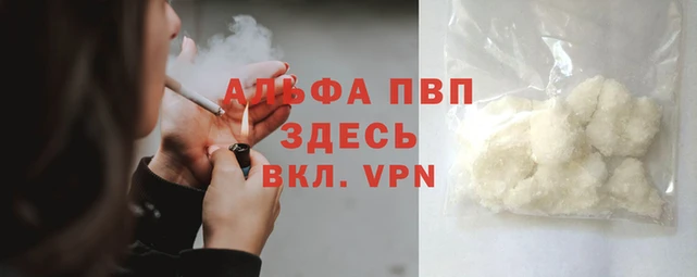 гидра Кодинск