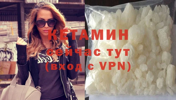 гидра Кодинск