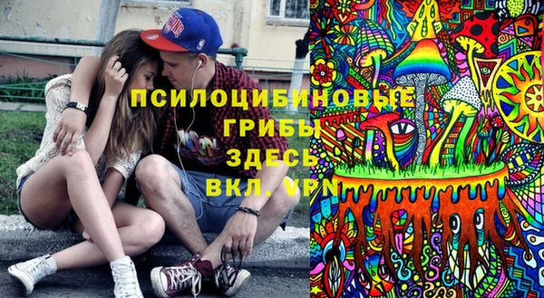 гидра Кодинск