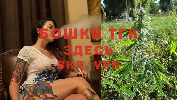 прущие грибы Козловка