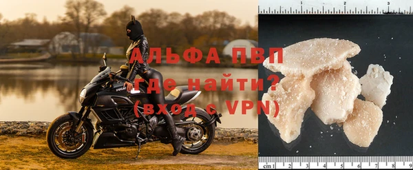 гидра Кодинск