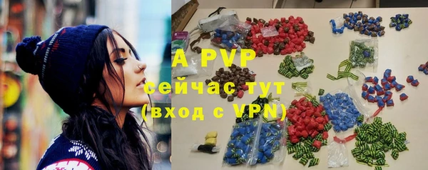 гидра Кодинск