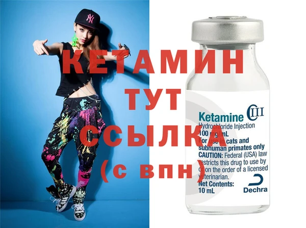 гидра Кодинск