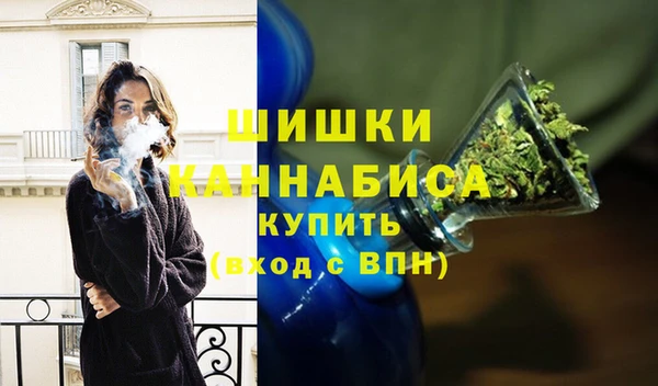 гидра Кодинск