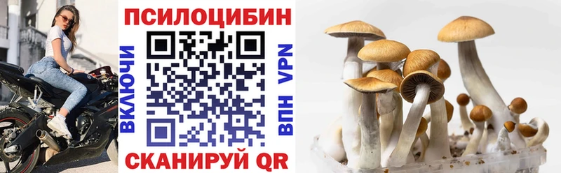 Галлюциногенные грибы MAGIC MUSHROOMS  Купить закладки  Новокубанск 